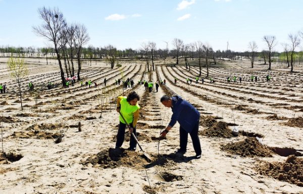 天弘优配 “四两博千金”，辽宁彰武防沙治沙突出产业化路径｜一线调研