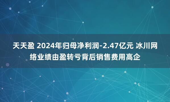 天天盈 2024年归母净利润-2.47亿元 冰川网络业绩由盈转亏背后销售费用高企