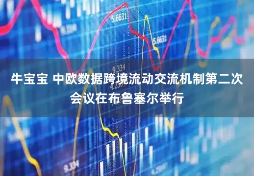 牛宝宝 中欧数据跨境流动交流机制第二次会议在布鲁塞尔举行